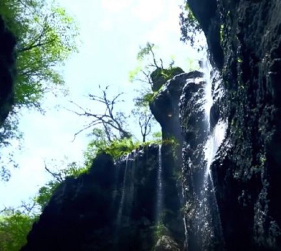 青山綠水，白龍江畔江畔息白鷺，兩岸綠橄欖入眼的都是純樸自然枝上花開(kāi)，春來(lái)水暖魚(yú)蝦戲水，鳥(niǎo)語(yǔ)花香心中充滿(mǎn)著舒暢之感祥宇生態(tài)產(chǎn)業(yè)園，位于隴南市武..